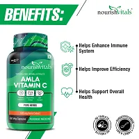 NourishVitals Amla Vitamin C with Tannins, 60 Veg Capsules (Pack Of 2)-thumb4