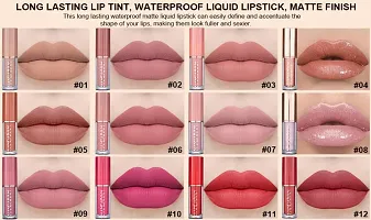 Closured Sheer Lip Gloss for Women, Pack of 12-thumb1