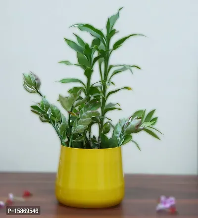 Desktop Planter Home Indoor Outdoor Plant Container 5 6inch yellow