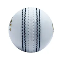 Cricket  Ball Prosodt Synthetic(Wind) Ball-thumb1