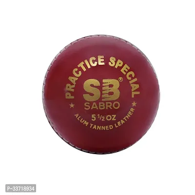 Cricket  Practice Special Leather Ball