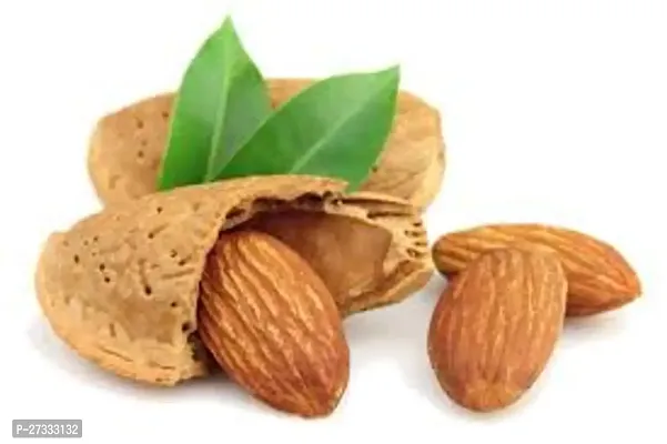 Premium Raw kashmiri Almonds  Pouch Pack | Badam Giri | Nutritious  Delicious High in Fiber  Boost Immunity | Dry Fruits Real Nuts | Gluten Free