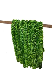 AFARZA; CHOICE GOOD FEEL GOOD Home Decor Artificial Flower Green Garland Toran Ladi for Door Decoration (5 Feet) -4-thumb3