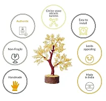 Mautik Sadiwala Citrine Tree 360 Beads Natural Citrine Tree for Reiki Healing, Vastu Correction, Business Success and Increase Creativity (Color : Yellow)-thumb3