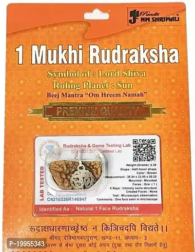 1 Mukhi Rudraksha Original  Certified Indonesian Ek Mukha One Face Rudraksh with Lab Certificate Wood Pendant-thumb0