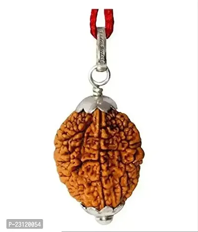 2 Mukhi Rudraksha Pendant (Two Faced Rudraksh with Lab Certificate  Pouch) 18 M.M2