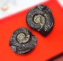 Natural Shaligram Stone/Shila AAA Quality for Home  Office from Gandaki River Nepal-thumb3