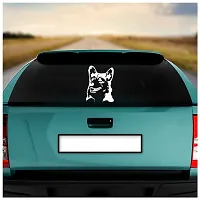 Dikoria Dog Car Sticker, car Stickers for Car Exterior, Glass, Wall, Window | White Color Standard Size (12x12 Inch) | Design-Dog Car Sticker White- D896-thumb1