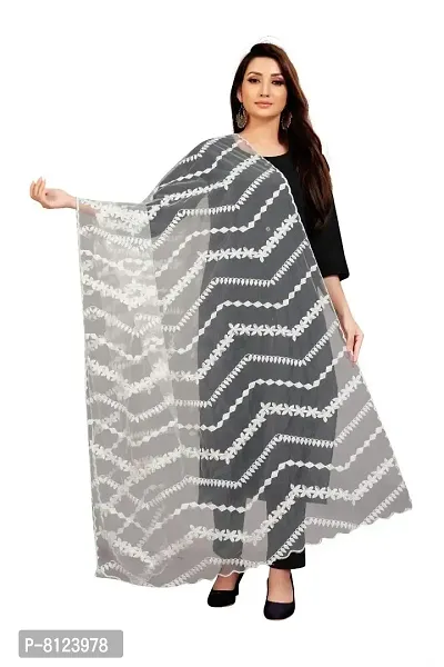 Rahulraj Textile Women's Nylon Mono Net Embroidery Dyeable Dupatta (White, Free Size)-thumb0