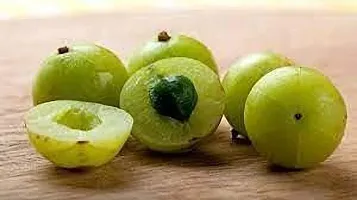 Healthy Amla Plant - Boosts Immunity-thumb2