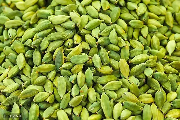 Cardamom Plant - Easy to Grow Aromatic Herb-thumb0