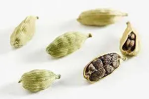 Organic Cardamom Plant - Aromatic Live Herb-thumb1