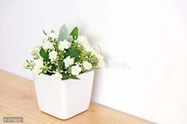 Sweet-Scented Jasmine Plant in Decorative Pot-thumb0