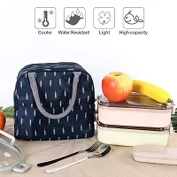 Atipriya Portable Lunch Bag Portable Insulated Canvas Tote Travel Tiffin Bag Thermal Food Canvas Stripe Cooler Bags Thermal Food Picnic Lunch Bags for Office, College & School, Pack of 1 (Multicolor)-thumb4