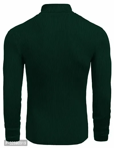 Stylish Wool Blend Solid High Neck Sweatshirt-thumb2