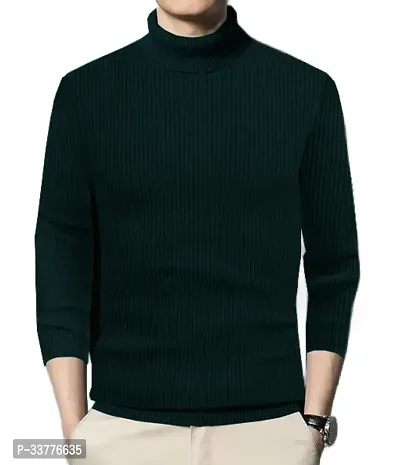 Stylish Wool Blend Solid High Neck Sweatshirt-thumb2