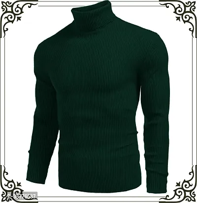 Stylish Wool Blend Solid High Neck Sweatshirt-thumb0