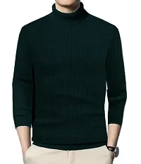 Stylish Wool Blend Solid High Neck Sweatshirt-thumb1