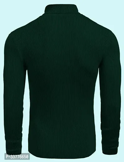 Stylish Wool Blend Solid High Neck Sweatshirt-thumb2