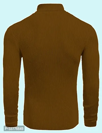 Stylish Wool Blend Solid High Neck Sweatshirt-thumb2