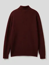 Classic Wool Blend Solid High Neck Sweaters-thumb1