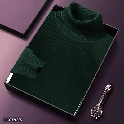 Stylish Wool Blend Solid High Neck Sweatshirt-thumb0