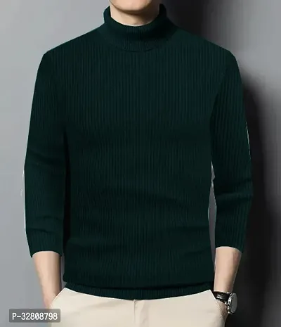 Stylish Wool Blend Solid High Neck Sweatshirt-thumb0