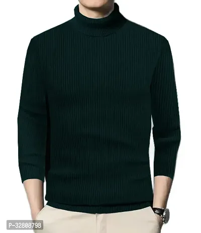 Stylish Wool Blend Solid High Neck Sweatshirt-thumb2