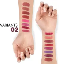 New Infinity Lip Palette, Demi Matte, 16 Colors to Infinte Lipstick Colors with Free Spatula cum Applicator. Shade:2 (Multicolor, 36 g)-thumb2