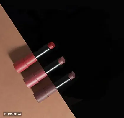 New Long Lasting, Highly Pigmented  Comfortable Ultra Matte Lipstick (Reds and Maroons - 01) Set of 3