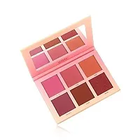 SIM'S IMAGIC PROfessional Pro Blusher Palette 42.8g, 6 COLOR TOUCH BLUSH PALETTE-thumb2