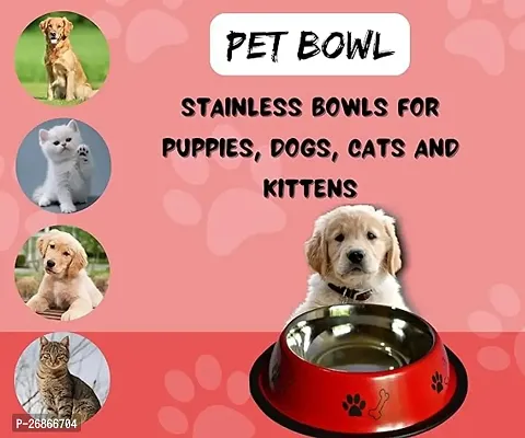 Water And Food Feeding Bowl For Dogs 750ml-thumb4
