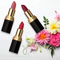 Iba Pure Lips Long Stay Matte Lipstick, M10 Red Brick, 4g l 100% Vegan  Natural l Highly Pigmentated l Long Lasting-thumb1