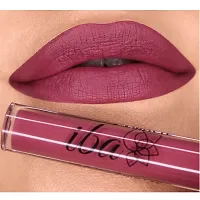 Iba Maxx Matte Liquid Lipstick Shade - Sugar N Spice, 2.6ml | Transfer proof | Velvet Matte Finish | Highly Pigmented and Long Lasting | Full Coverage | Non-Drying| 100% Vegan  Cruelty Free-thumb4