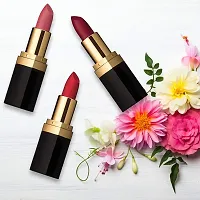 Iba Pure Lips Long Stay Matte Lipstick, M13 Pink Rose, 4g l 100% Vegan  Natural l Highly Pigmentated l Long Lasting-thumb1