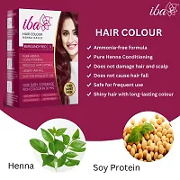 Iba Hair Colour - Burgundy Red, 70g (Pack of 2) | 100% Pure Henna Based Powder Sachet | Naturally Coloured Hair  Long Lasting | Conditioning | Reduced Hair fall  Hair Damage | Shine  Nourish Hair-thumb1