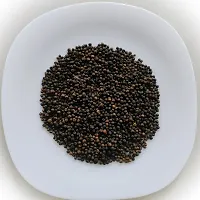 Premium Quality Pure Kerala Organic Kerala Black Pepper Whole/Kalimirch/Gola marica/Kala mari/kaalee mirch/Kali miri/Karumi?aku milagu/Kurumulaku 25G-thumb1