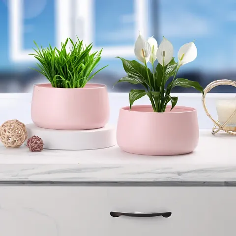 Hot Selling Plant & Planters 