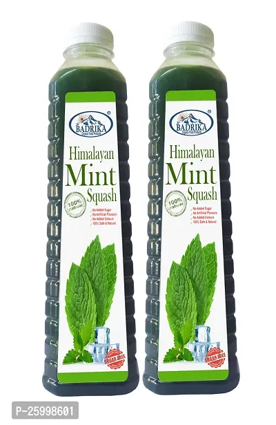 Badrika Pure Natural Himalayan Sugarfree Mint Squash Pack Of 2 (750 ML Each)-thumb0