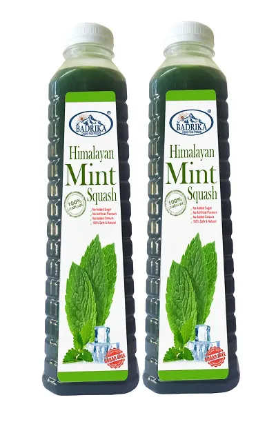 Badrika Pure Natural Himalayan Sugarfree Mint Squash Pack Of 2 (750 ML Each)