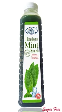 Badrika Pure Natural Himalayan Sugarfree Mint Squash Pack Of 2 (750 ML Each)-thumb2