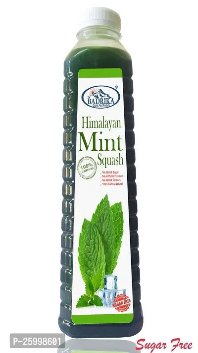 Badrika Pure Natural Himalayan Sugarfree Mint Squash Pack Of 2 (750 ML Each)-thumb3