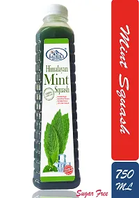 Badrika Pure Natural Himalayan Sugarfree Mint Squash Pack Of 2 (750 ML Each)-thumb1