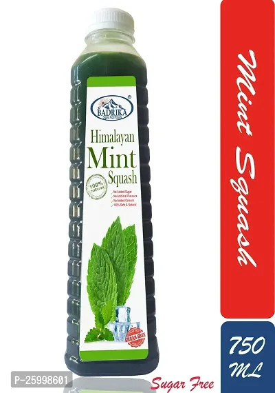 Badrika Pure Natural Himalayan Sugarfree Mint Squash Pack Of 2 (750 ML Each)-thumb2