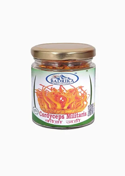 Badrika Keeda Jadi (Cordiceps Militaris) | Super Food for Energy, Immunity and Stamina (15 g)