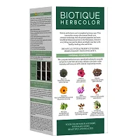 Biotique Biotique Bio Herbcolor N 50 G 110 Ml ' Conditioning Color No Ammonia-thumb1