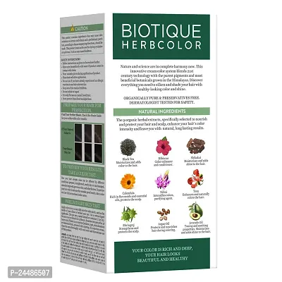 Biotique Biotique Bio Herbcolor N 50 G 110 Ml ' Conditioning Color No Ammonia-thumb2