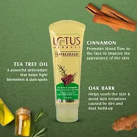 Lotus Herbals TEATREEWASH Tea Tree  Cinnamon Anti-Acne Oil Control Face Wash 120ml with WhiteGlow Advanced Pink Glow Brightening Night Cream 50gm-thumb4