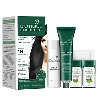 Biotique Biotique Bio Herbcolor N 50 G 110 Ml ' Conditioning Color No Ammonia-thumb2