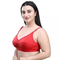 Full Cotton C and D cup bra with Broad strap bra for Women/Multicolor Pack of 2-thumb2